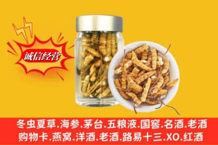 牡丹江市回收散虫草