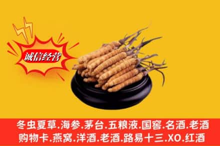 牡丹江市求购回收虫草多少钱每克
